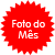 Foto do m�s