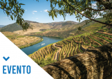 Evento Olhares: Subida do Douro de Barco